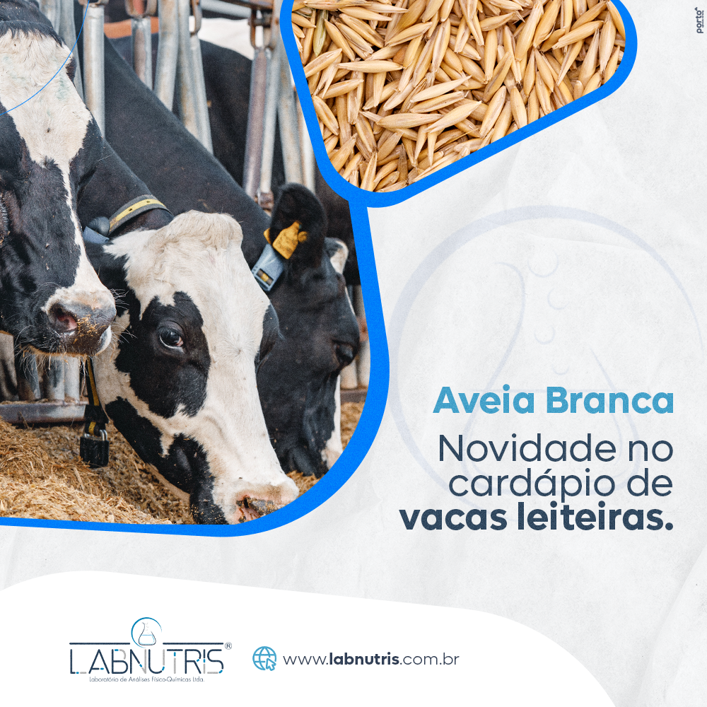 Labnutris Laboratório de Análises Físico-Quimicas de Nutrição Animal