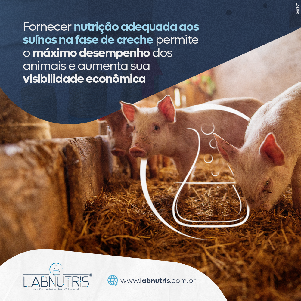 Labnutris Laboratório de Análises Físico-Quimicas de Nutrição Animal