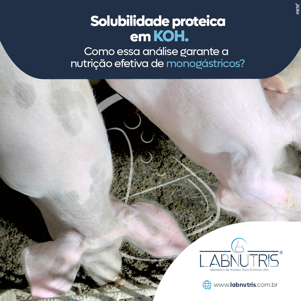 Labnutris Laboratório de Análises Físico-Quimicas de Nutrição Animal