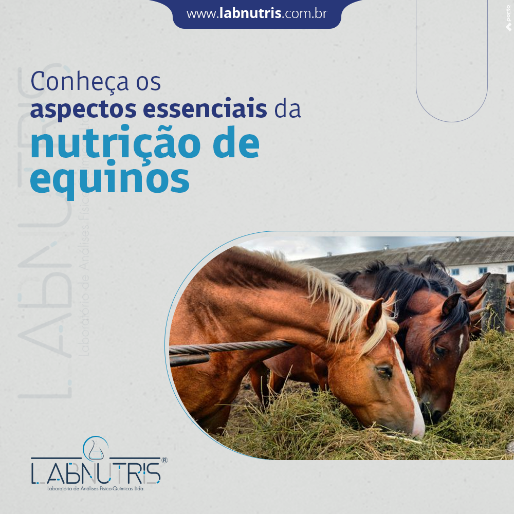 Labnutris Laboratório de Análises Físico-Quimicas de Nutrição Animal