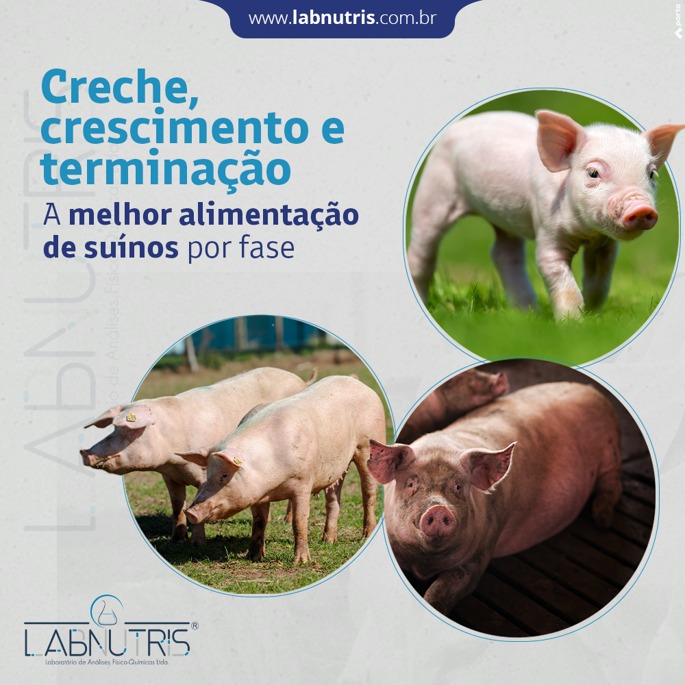 Labnutris Laboratório de Análises Físico-Quimicas de Nutrição Animal