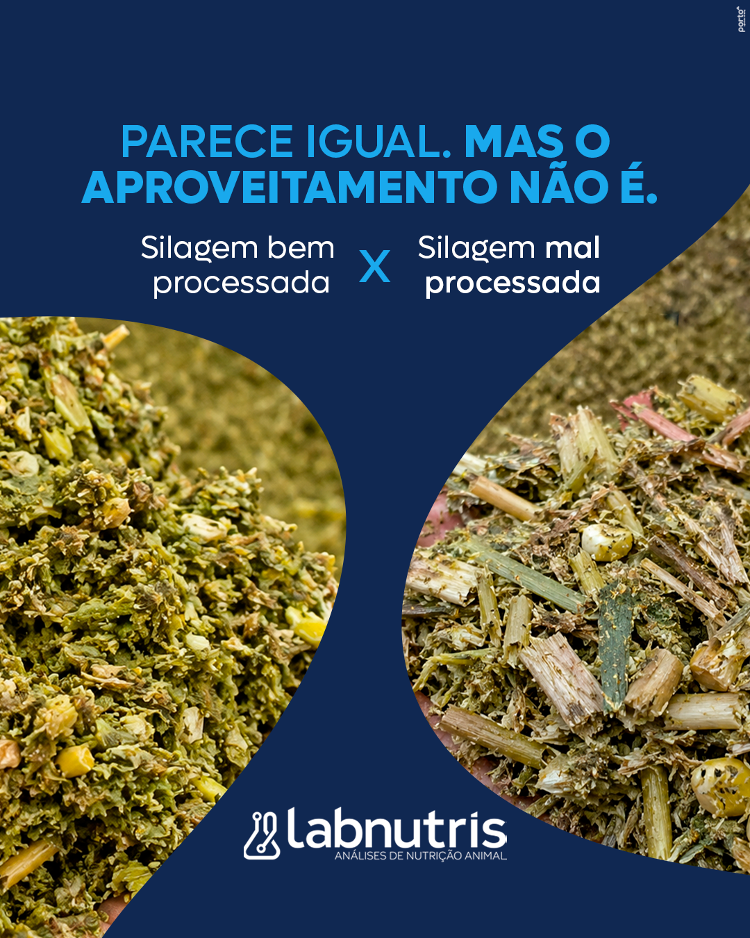 Labnutris Laboratório de Análises Físico-Quimicas de Nutrição Animal