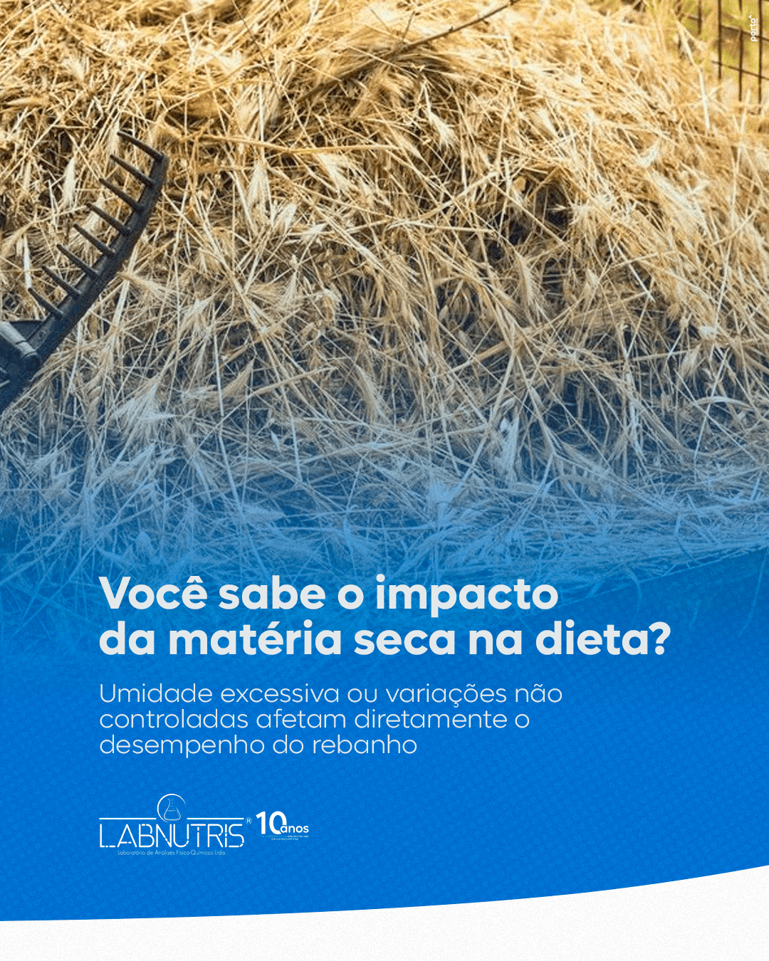 Labnutris Laboratório de Análises Físico-Quimicas de Nutrição Animal