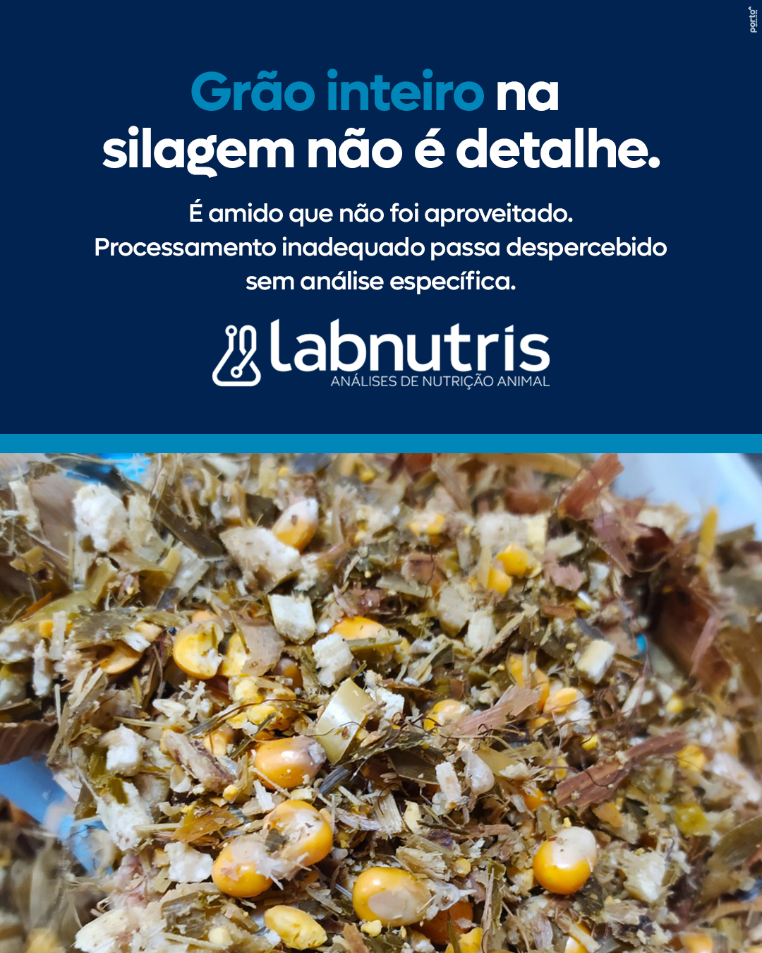 Labnutris Laboratório de Análises Físico-Quimicas de Nutrição Animal
